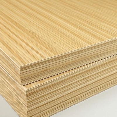 Switch Accessories and Bamboo Plywood Ground Main Frame for 40ft Modular Living Spaces in High Demand