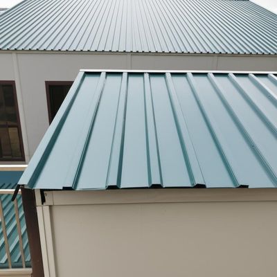 Steel Roofing and Customized Colors for 40ft Assembled Living Dwellings